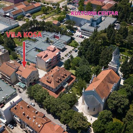 Apartmani Vila Kosa Trebin Dış mekan fotoğraf