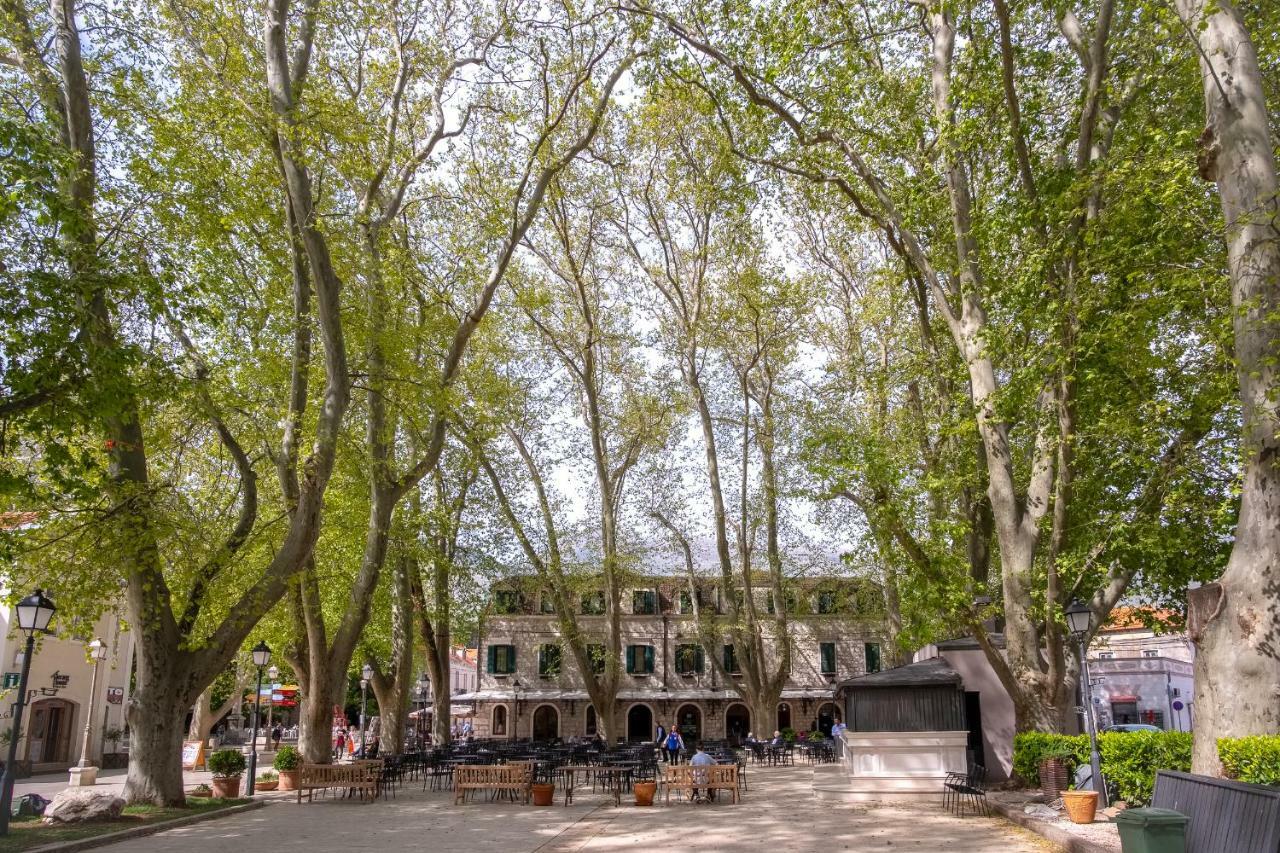 Apartmani Vila Kosa Trebin Dış mekan fotoğraf