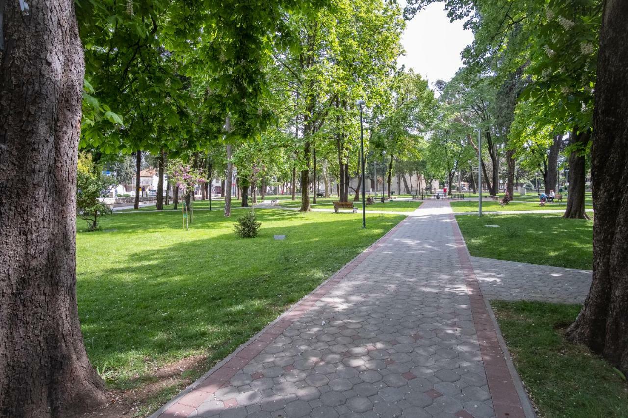 Apartmani Vila Kosa Trebin Dış mekan fotoğraf