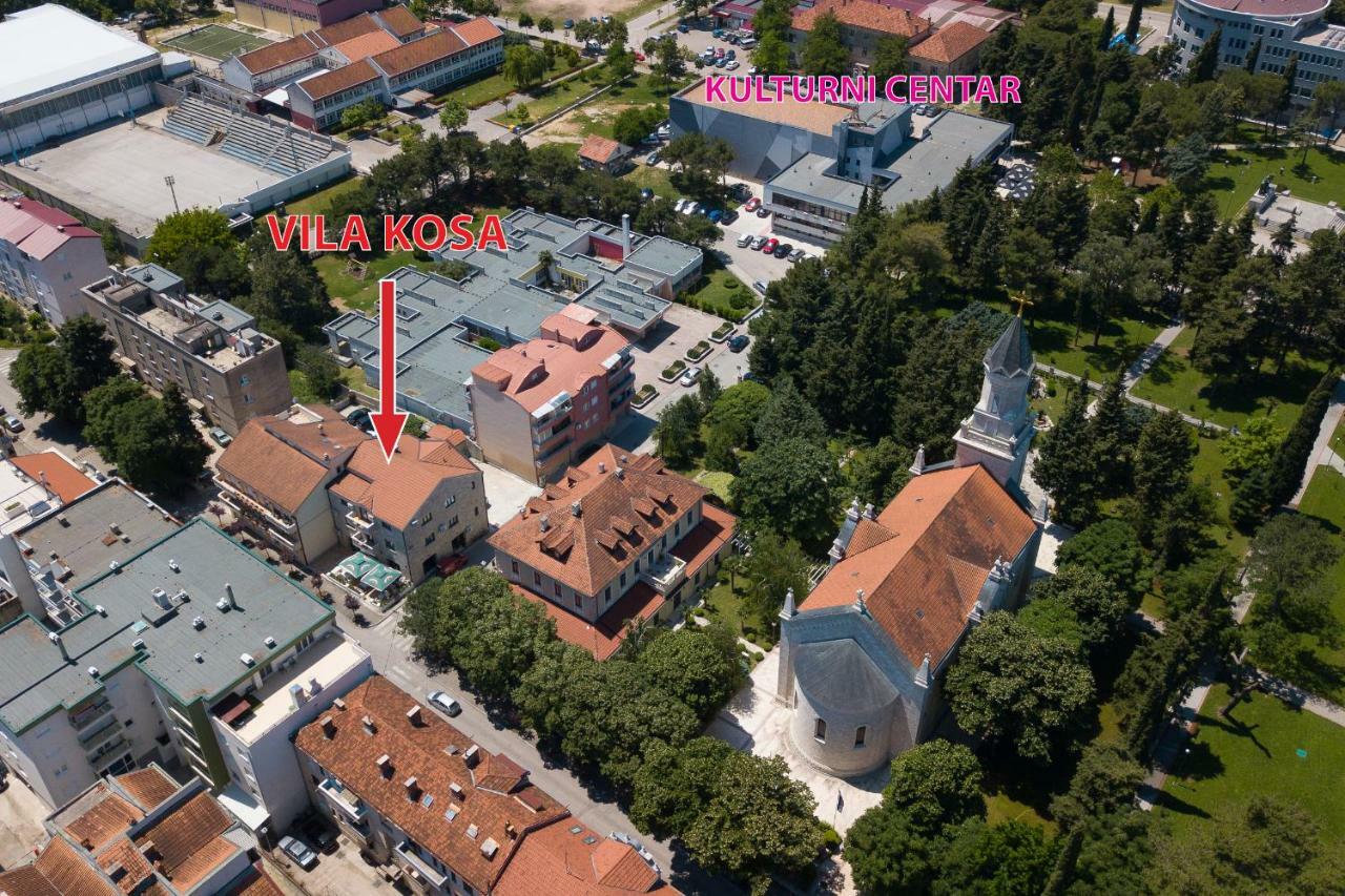Apartmani Vila Kosa Trebin Dış mekan fotoğraf